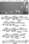 FIG. 2.