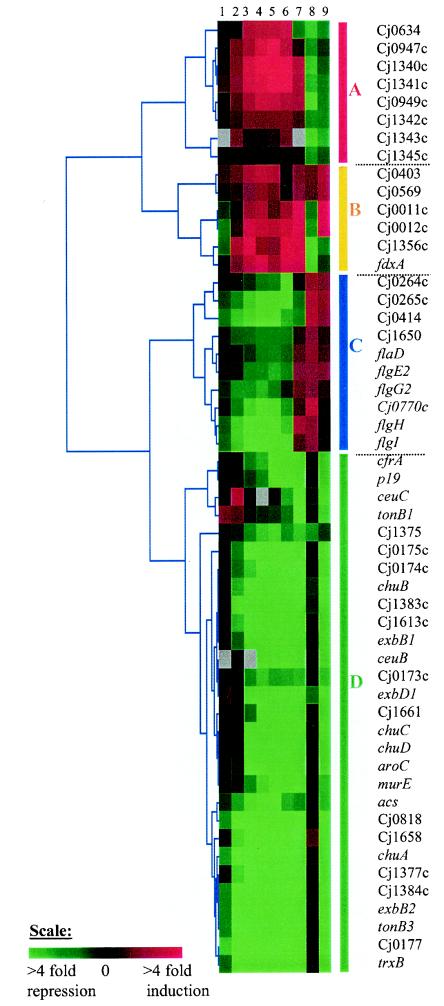 FIG. 4.