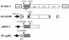 FIG 1