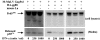 FIG 7