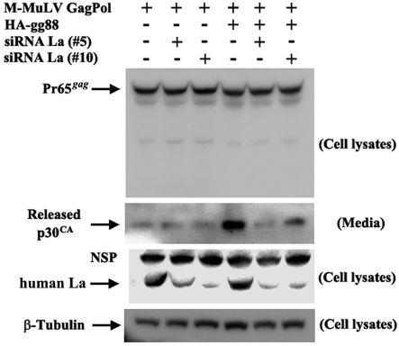 FIG 6 