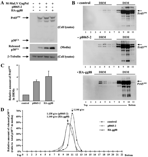 FIG 2 