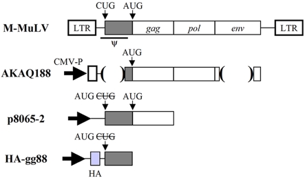 FIG 1 