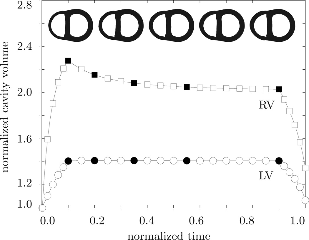 Fig. 10