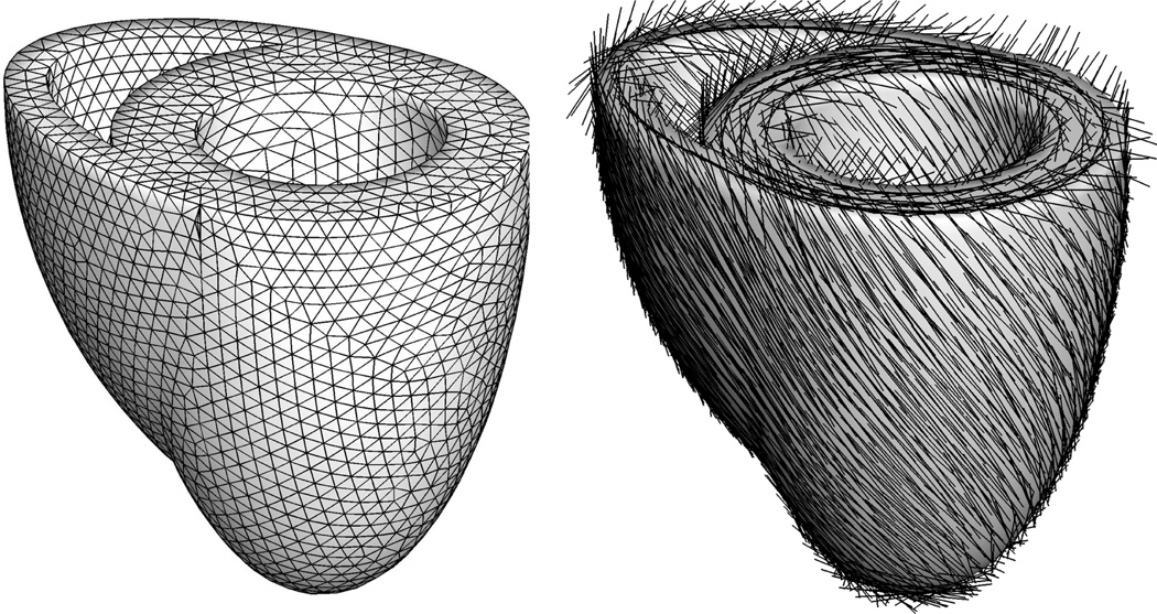 Fig. 5