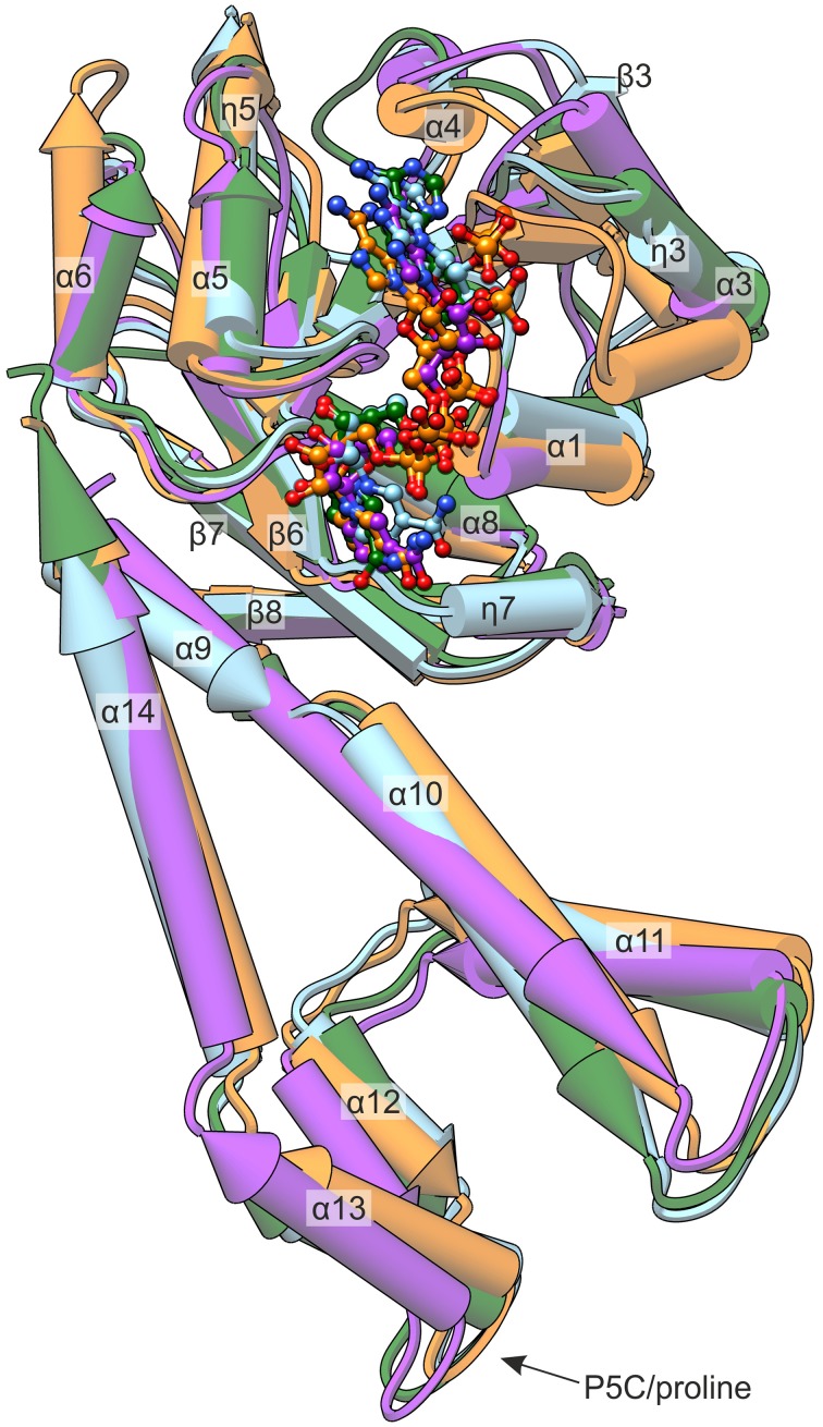 Figure 6