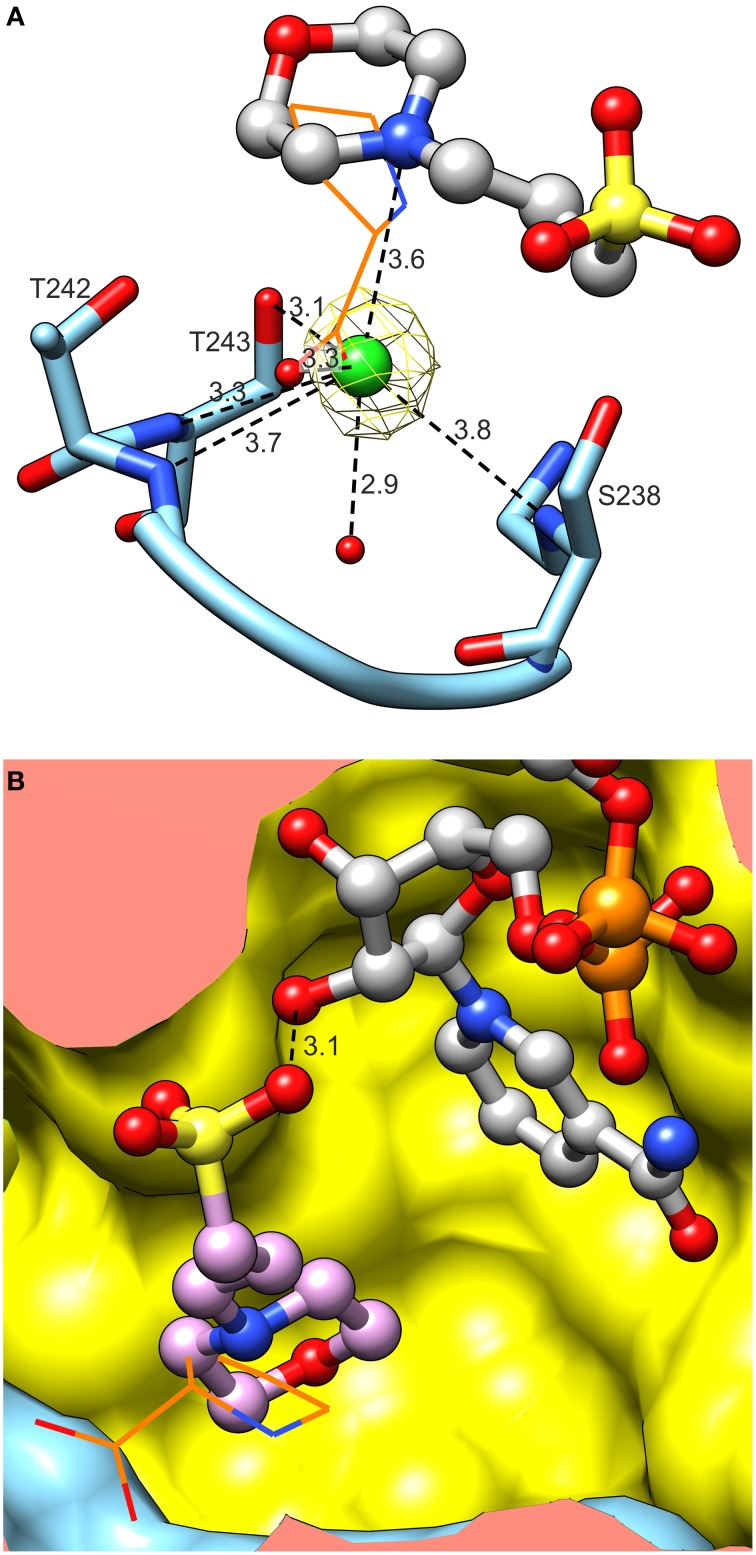 Figure 9