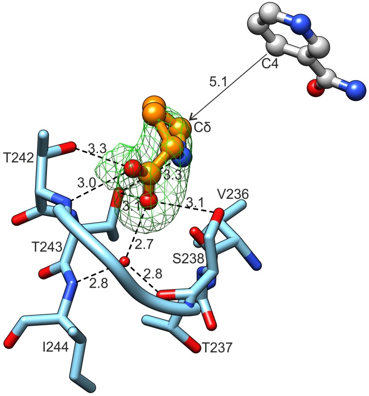 Figure 7