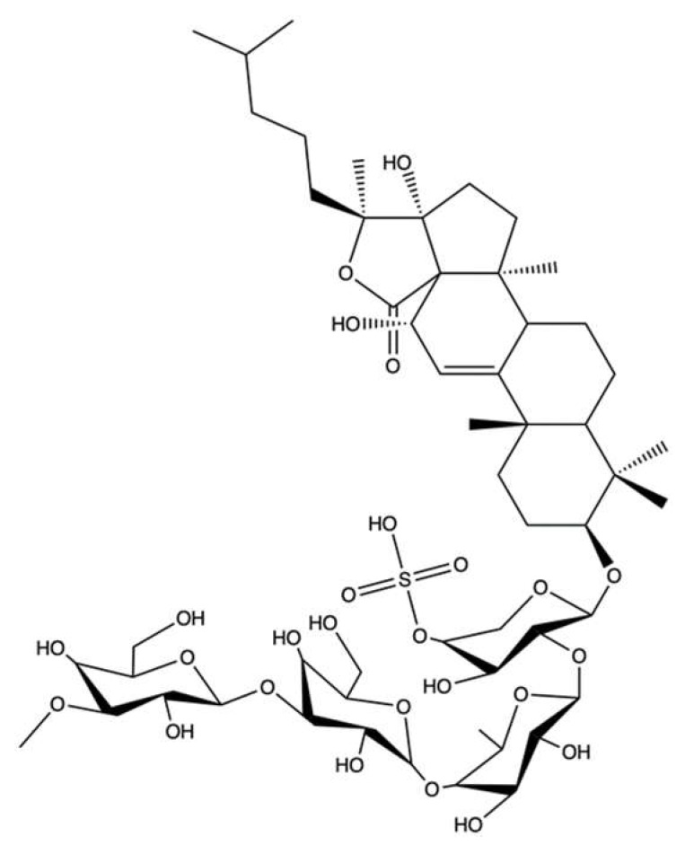 Figure 24