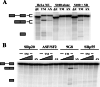 FIG. 2.