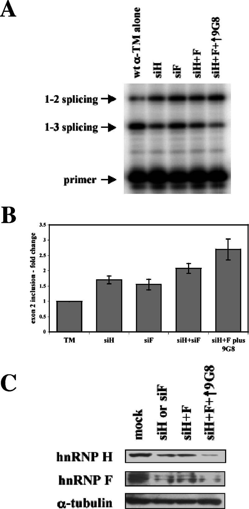 FIG. 6.