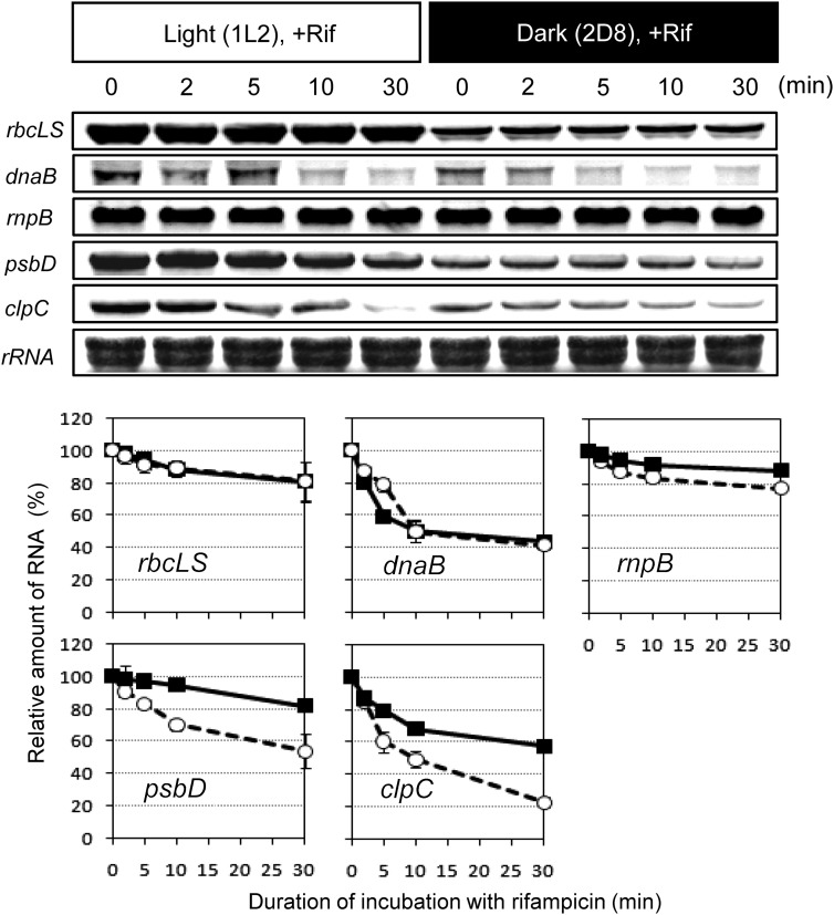 Figure 6.