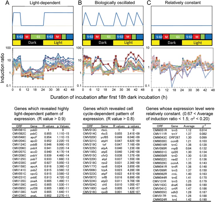 Figure 2.