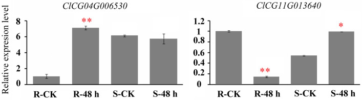 Fig. 6