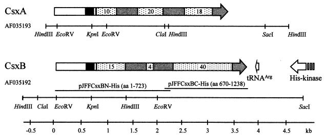 FIG. 1