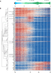 Figure 3—figure supplement 1.