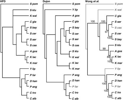 Figure 3.—