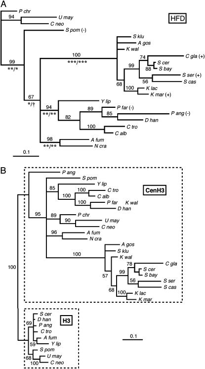 Figure 2.—