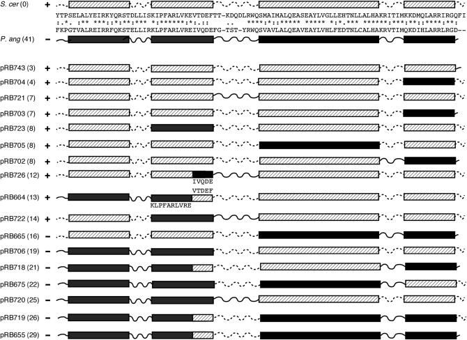 Figure 7.—