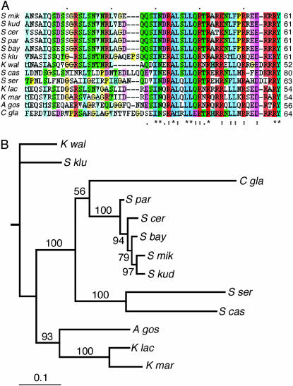 Figure 4.—