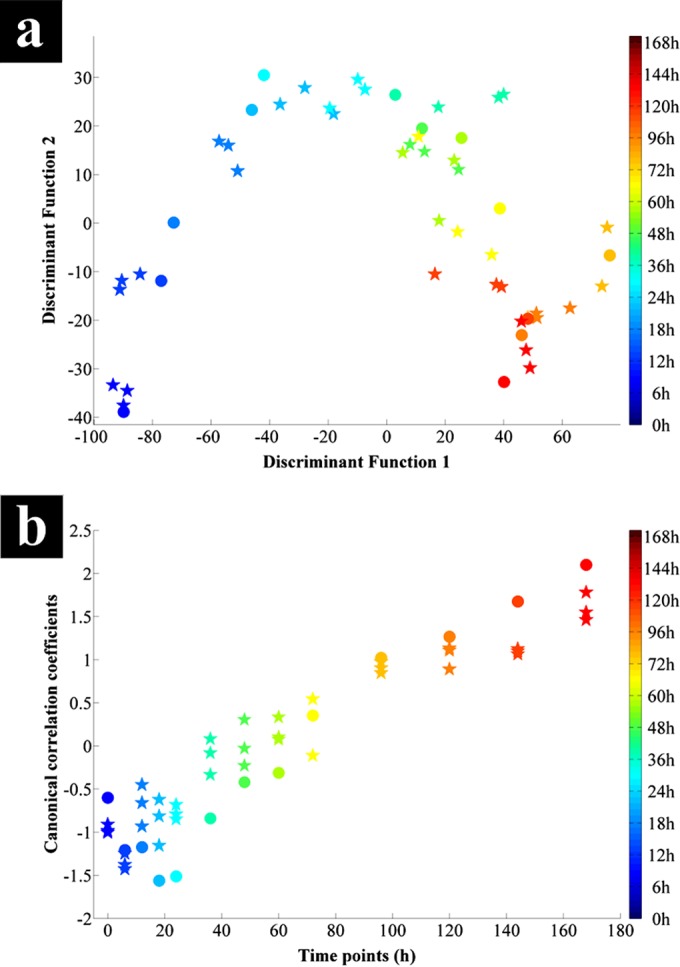 FIG 4