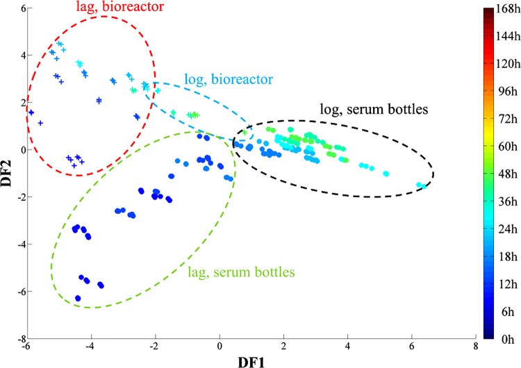 FIG 3