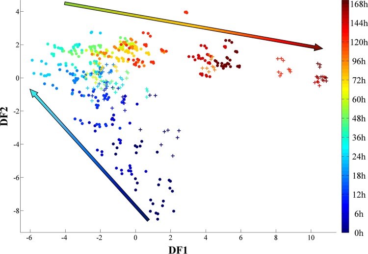 FIG 2