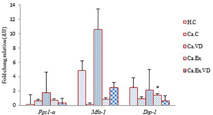 FIGURE 5