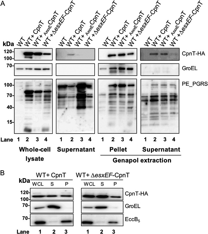 FIG 3