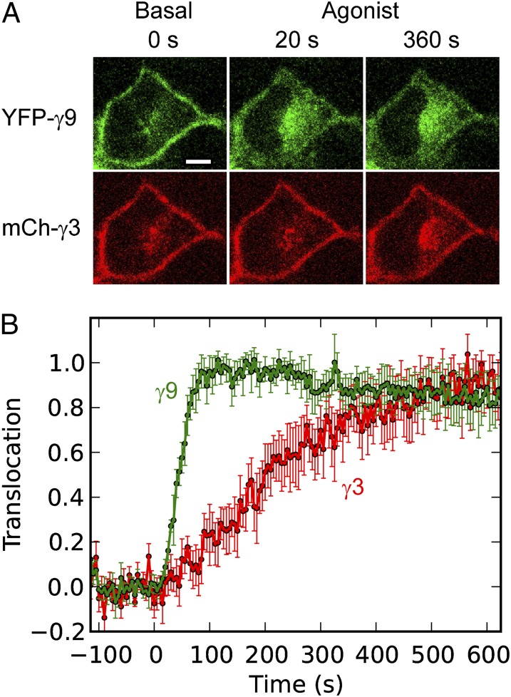 Fig. 8.