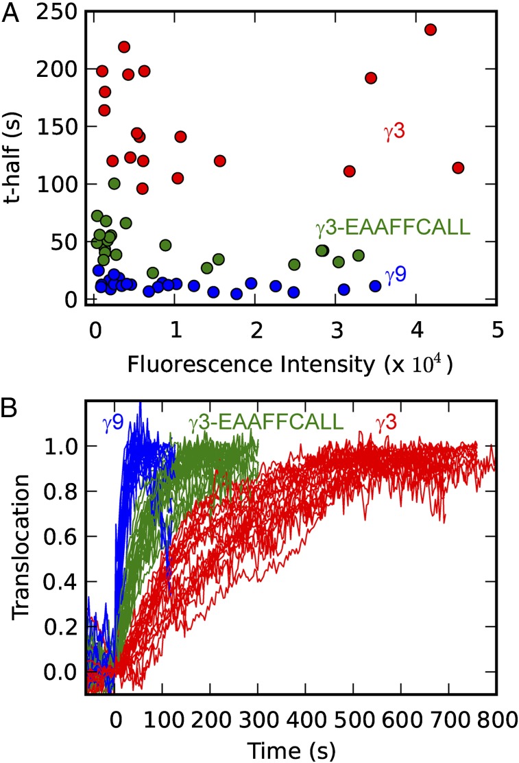 Fig. 9.