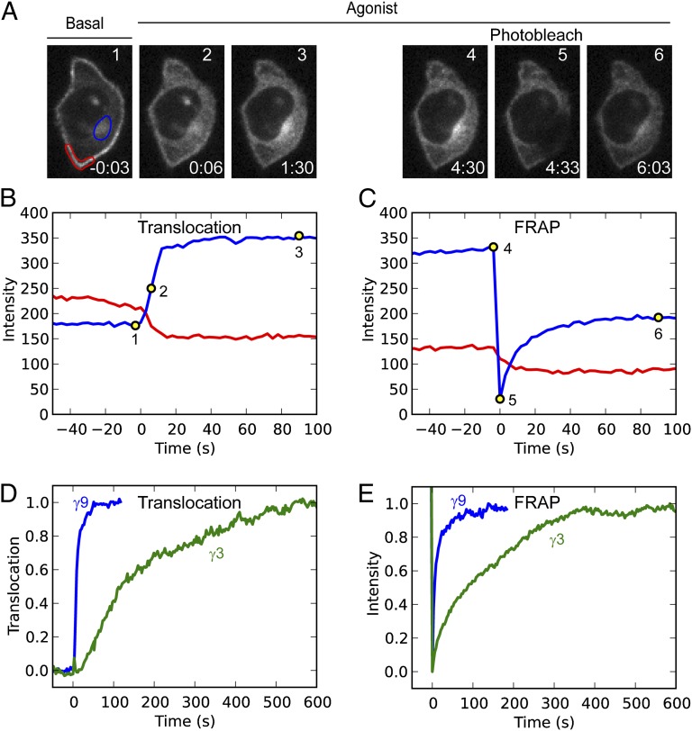 Fig. 2.