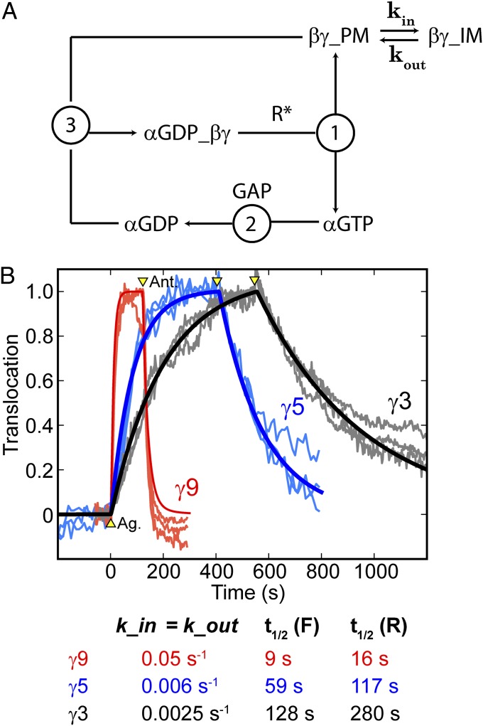 Fig. 4.