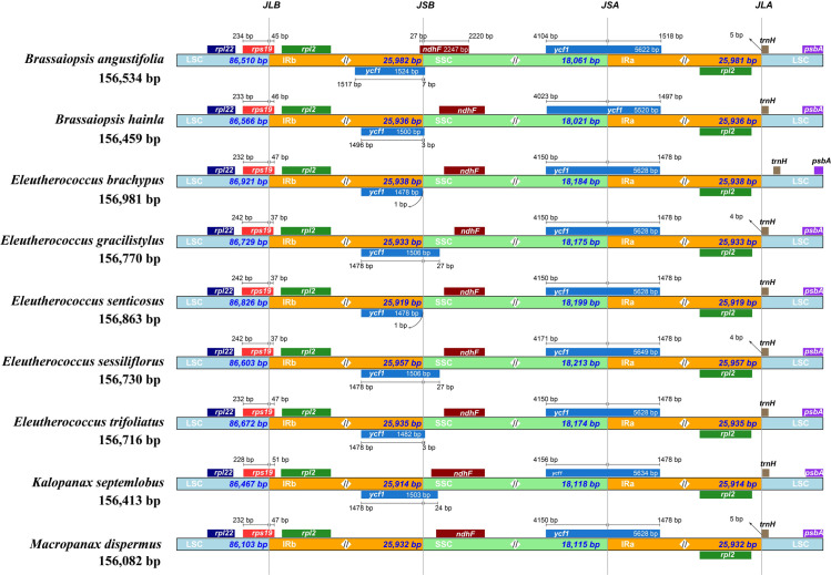 Fig 6