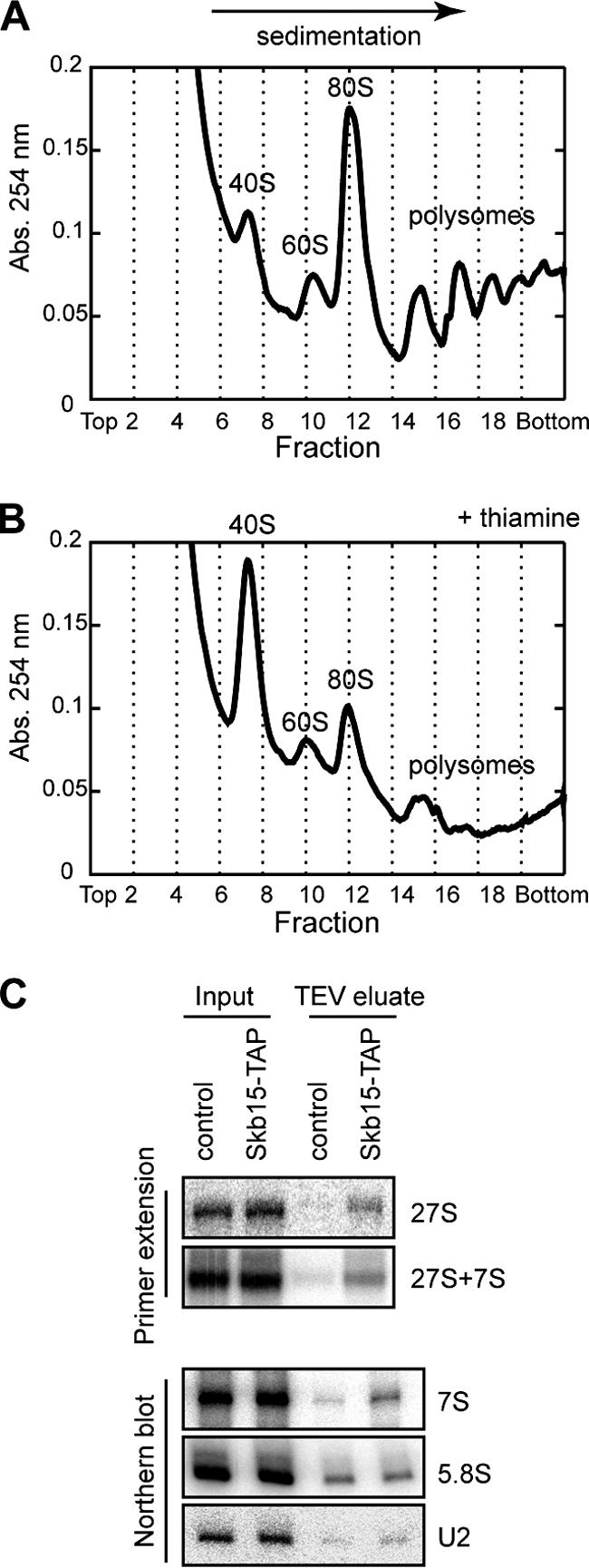 FIG. 8.