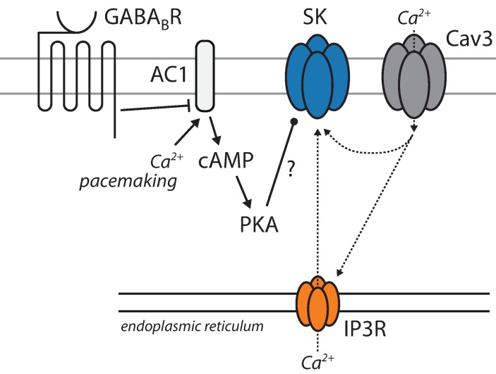 Fig 7