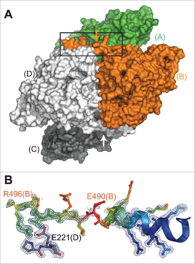 Figure 5.