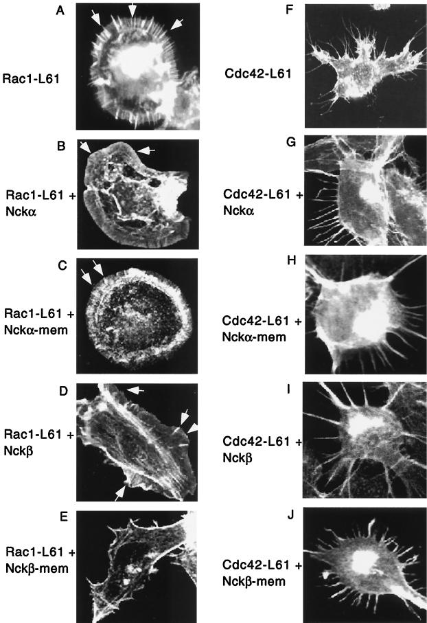 FIG. 8