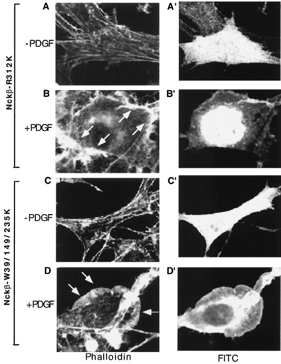 FIG. 4