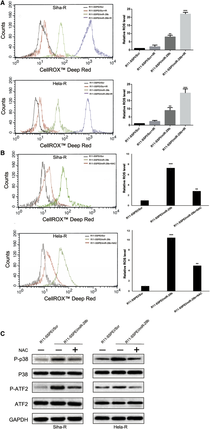 Figure 3