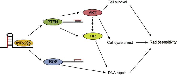 Figure 6