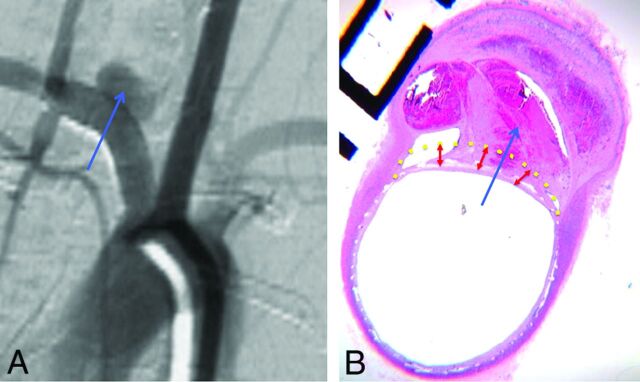 Fig 2.