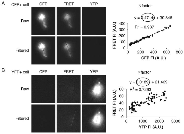 Fig. 10.1