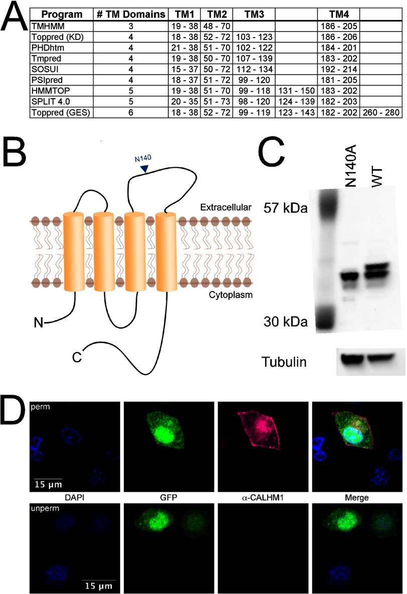 FIGURE 4.