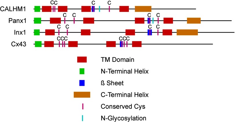 FIGURE 6.