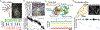 Figure 7:
