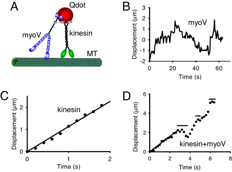 Fig. 1.