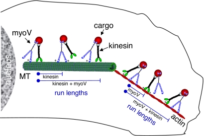 Fig. 4.