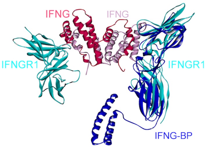 Figure 11