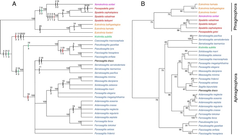 Figure 6